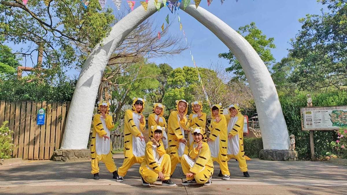 對戶籍地、穿老虎裝只要250元!六福村對中「虎」字爽玩,有動物名也享半價 對戶籍地、穿老虎裝只要250元!六福村對中「虎」字爽玩,有動物名也享半價