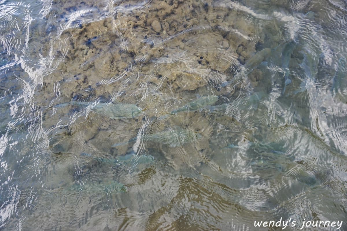 秒飛泰國度假!快衝「台版蘇美島」美拍黑色海上步道,賞南洋風祕境海岸 秒飛泰國度假!快衝「台版蘇美島」美拍黑色海上步道,賞南洋風祕境海岸