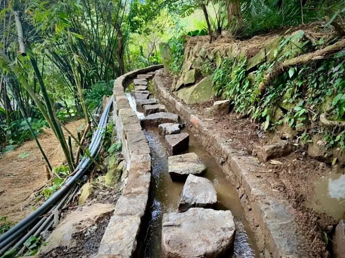 走跳士林隱藏祕境!「百年水圳古道+聚落稻浪棧橋」半日遊,再打卡親水跳石步道 走跳士林隱藏祕境!「百年水圳古道+聚落稻浪棧橋」半日遊,再打卡親水跳石步道
