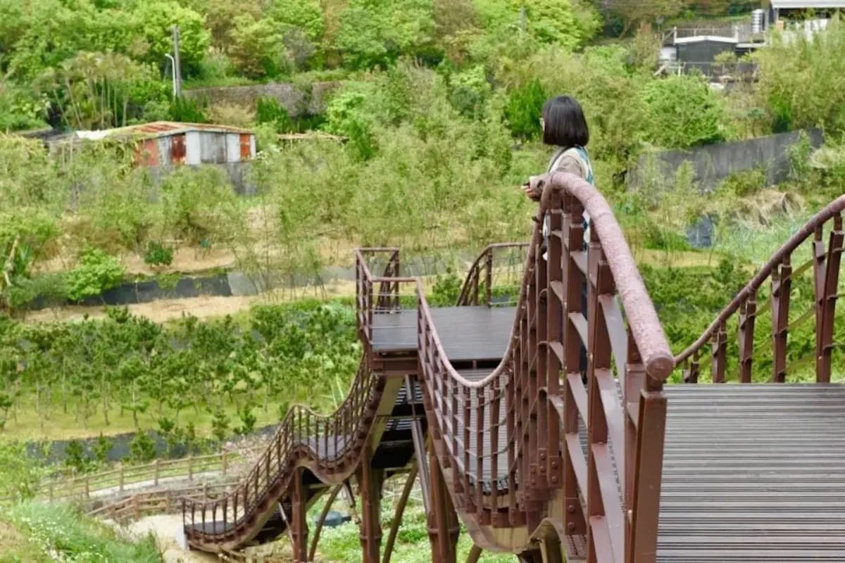 走跳士林隱藏祕境!「百年水圳古道+聚落稻浪棧橋」半日遊,再打卡親水跳石步道 走跳士林隱藏祕境!「百年水圳古道+聚落稻浪棧橋」半日遊,再打卡親水跳石步道