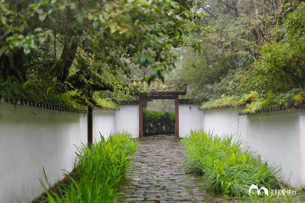 出遊不想人擠人!6大療癒「森林祕境」:打卡7層樓高空中走廊、祕境小木屋 出遊不想人擠人!6大療癒「森林祕境」:打卡7層樓高空中走廊、祕境小木屋
