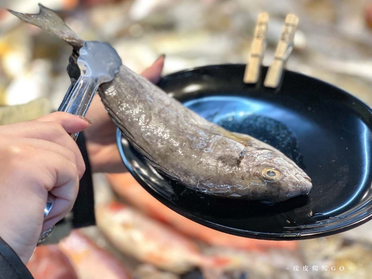 30種現流海魚無限吃!宜蘭超狂火烤兩吃插旗林口,媲美龍蝦「大扇蝦」也必嗑 30種現流海魚無限吃!宜蘭超狂火烤兩吃插旗林口,媲美龍蝦「大扇蝦」也必嗑