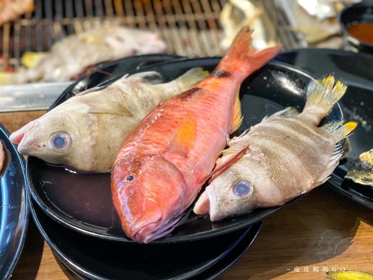 30種現流海魚無限吃!宜蘭超狂火烤兩吃插旗林口,媲美龍蝦「大扇蝦」也必嗑 30種現流海魚無限吃!宜蘭超狂火烤兩吃插旗林口,媲美龍蝦「大扇蝦」也必嗑