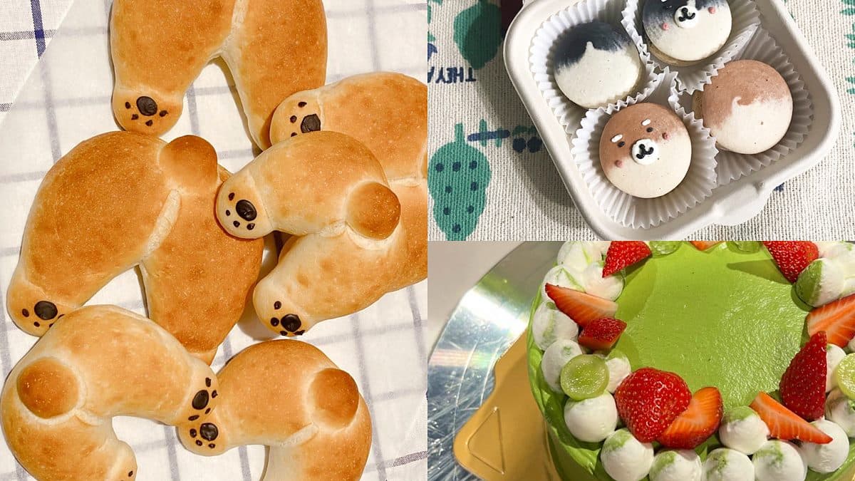 抹茶、芋頭控必衝!快閃10天誠品甜點市集,柯基屁屁麵包、柴犬馬卡龍都有