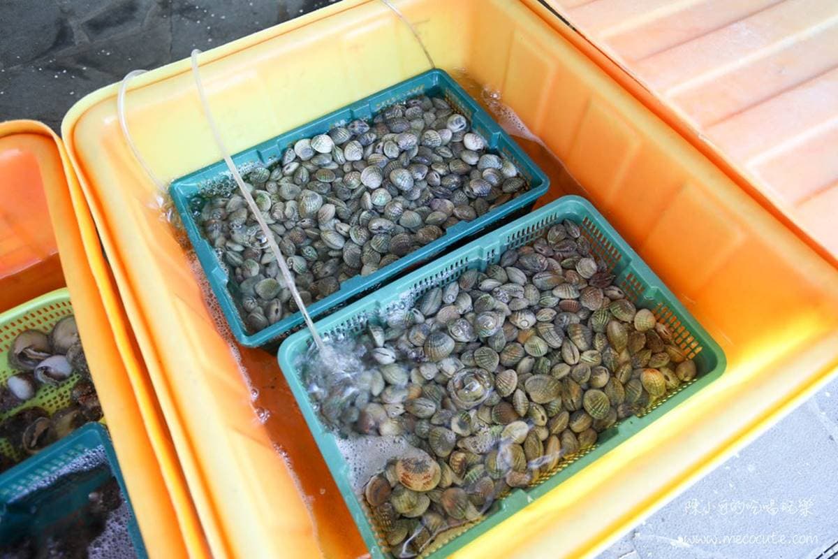 澎湖人的口袋名單!必吃超鮮甜「黑色小管麵線」,野生明蝦肉質Q彈會爆膏 澎湖人的口袋名單!必吃超鮮甜「黑色小管麵線」,野生明蝦肉質Q彈會爆膏