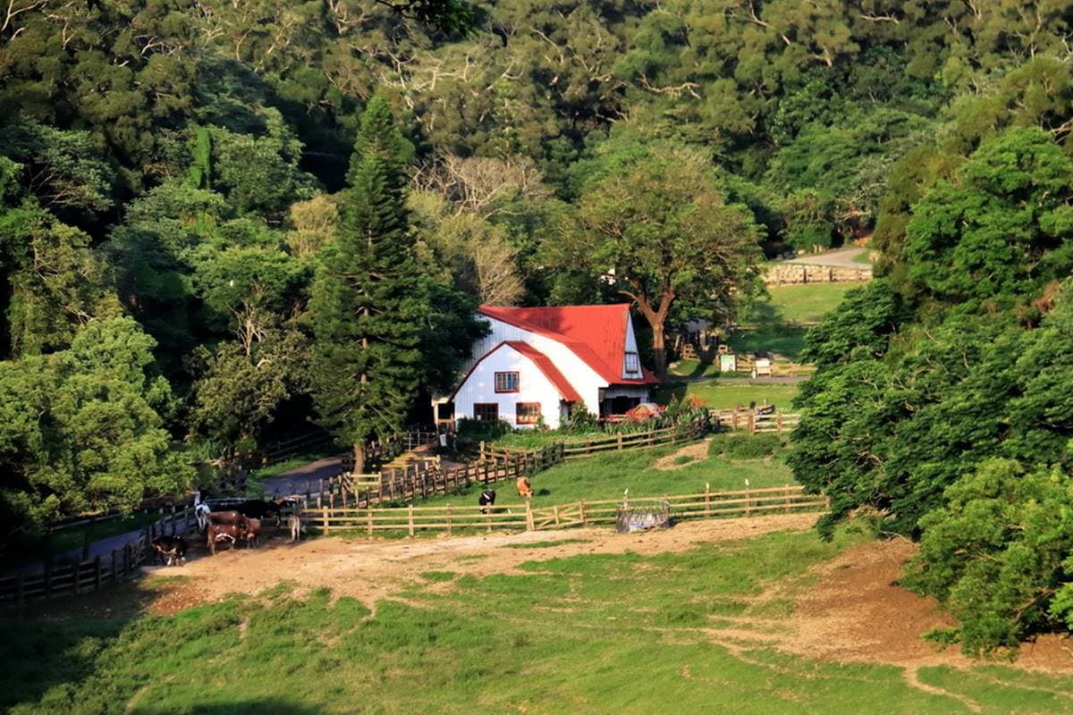 如置身歐洲鄉村!120公頃「親子牧場」10元體驗餵牛,獨木橋、牧草圈玩到斷電 如置身歐洲鄉村!120公頃「親子牧場」10元體驗餵牛,獨木橋、牧草圈玩到斷電