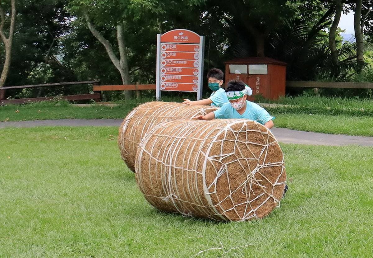 如置身歐洲鄉村!120公頃「親子牧場」10元體驗餵牛,獨木橋、牧草圈玩到斷電 如置身歐洲鄉村!120公頃「親子牧場」10元體驗餵牛,獨木橋、牧草圈玩到斷電