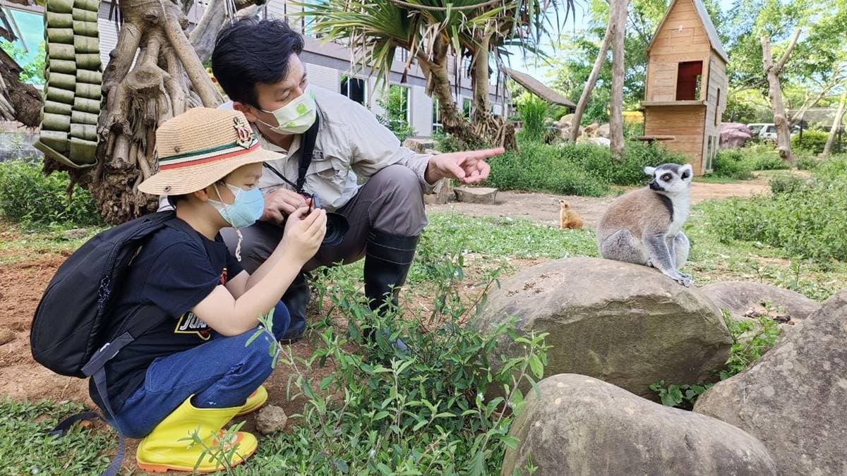 免費玩六福村2天!全台最大動物園飯店限定好康,2主題玩法體驗狐猴、樹蛙 免費玩六福村2天!全台最大動物園飯店限定好康,2主題玩法體驗狐猴、樹蛙