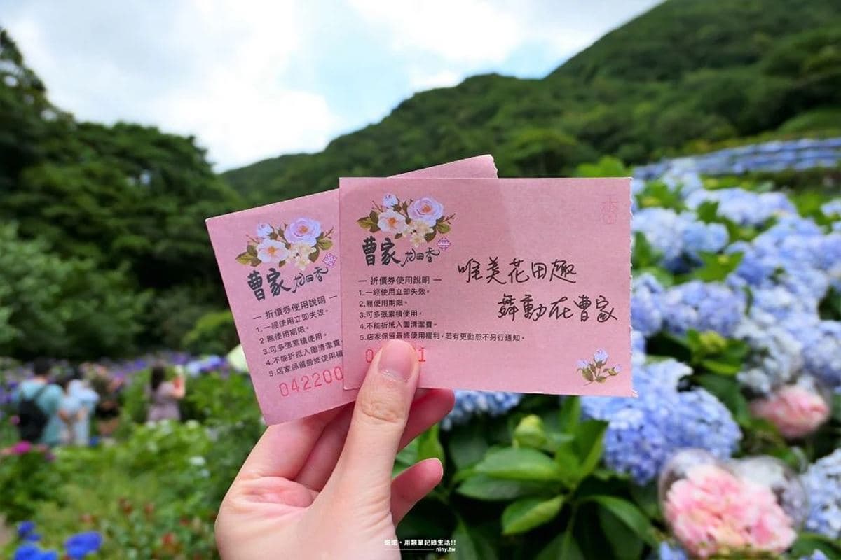 花仙子快追!陽明山「繡球花祕境」100元拍到手軟,梯田花海+日式鳥居美翻 花仙子快追!陽明山「繡球花祕境」100元拍到手軟,梯田花海+日式鳥居美翻