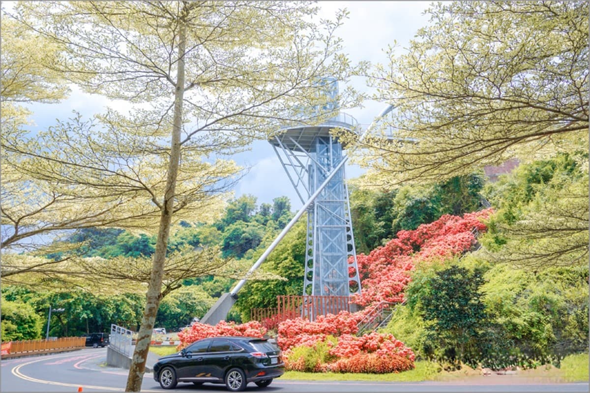 IG暴紅!曾文水庫「夢幻粉萼花海」大爆發,加碼「360度觀景台」遠眺絕美湖景 IG暴紅!曾文水庫「夢幻粉萼花海」大爆發,加碼「360度觀景台」遠眺絕美湖景