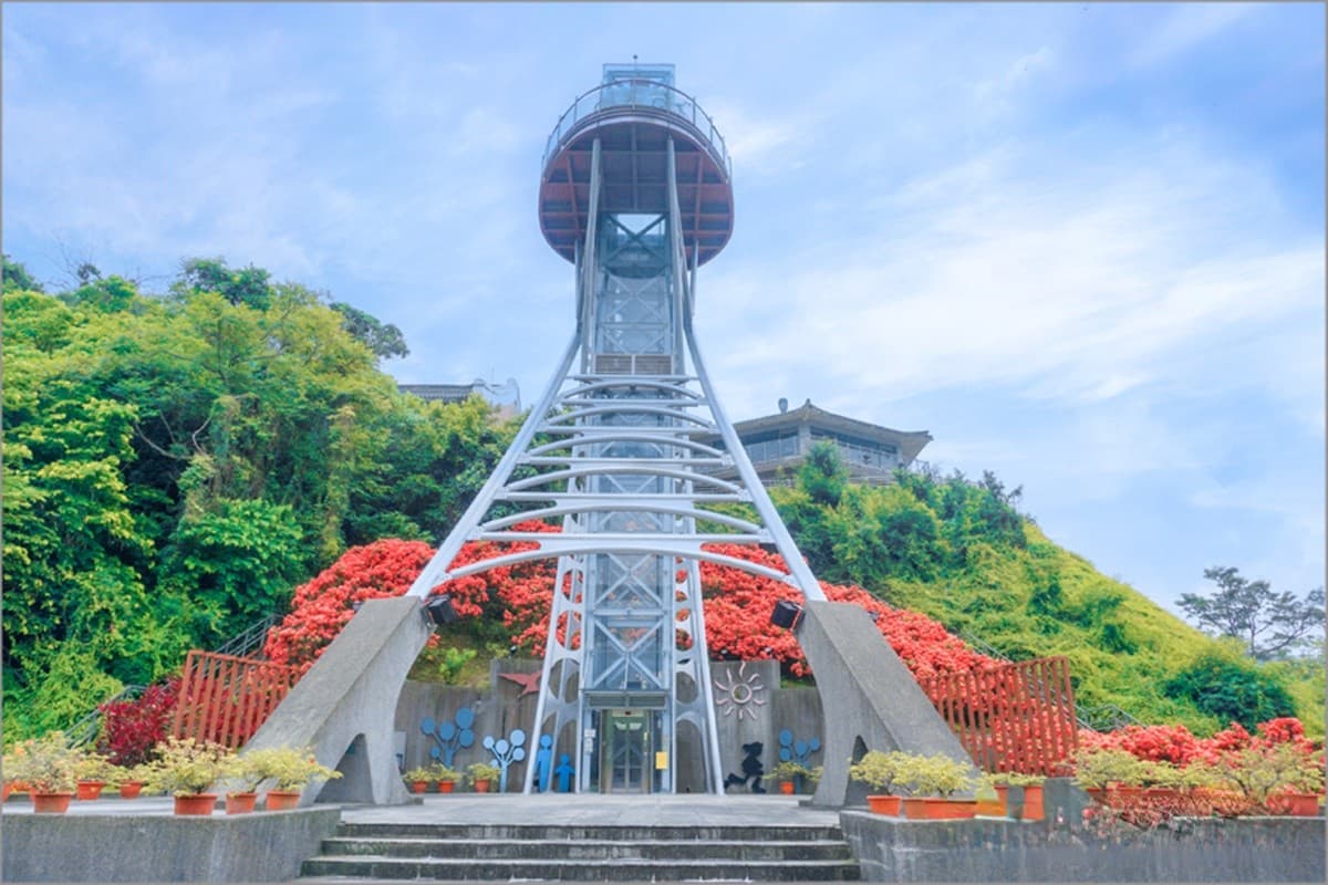 IG暴紅!曾文水庫「夢幻粉萼花海」大爆發,加碼「360度觀景台」遠眺絕美湖景 IG暴紅!曾文水庫「夢幻粉萼花海」大爆發,加碼「360度觀景台」遠眺絕美湖景