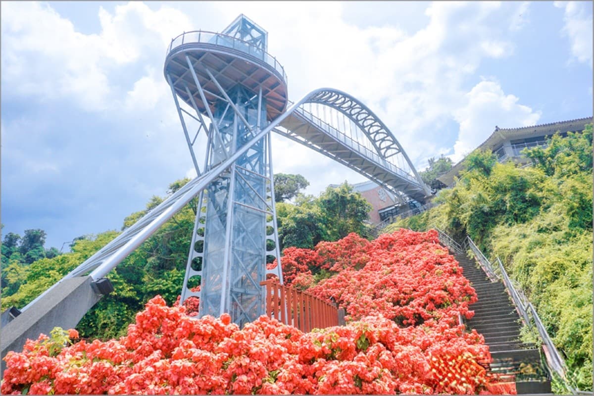 IG暴紅!曾文水庫「夢幻粉萼花海」大爆發,加碼「360度觀景台」遠眺絕美湖景 IG暴紅!曾文水庫「夢幻粉萼花海」大爆發,加碼「360度觀景台」遠眺絕美湖景