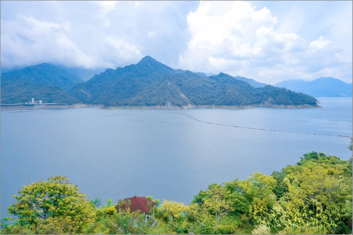 IG暴紅!曾文水庫「夢幻粉萼花海」大爆發,加碼「360度觀景台」遠眺絕美湖景 IG暴紅!曾文水庫「夢幻粉萼花海」大爆發,加碼「360度觀景台」遠眺絕美湖景