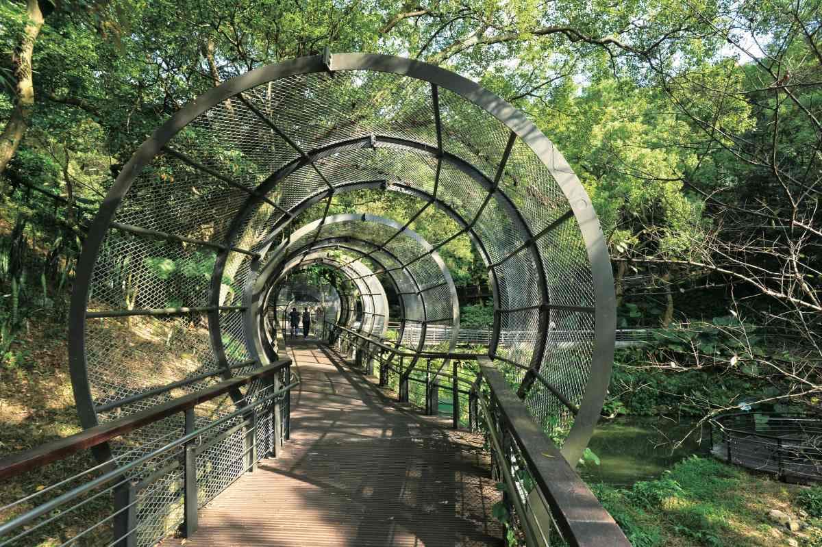 消暑景點快收!桃園4處沁涼山海祕境:百年石滬、全台最長懸索橋、綠色隧道 消暑景點快收!桃園4處沁涼山海祕境:百年石滬、全台最長懸索橋、綠色隧道