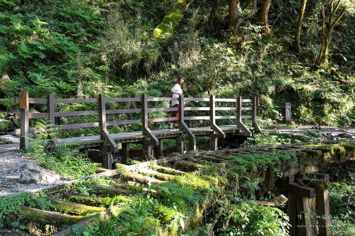 宜蘭不只抹茶山!5條私房步道衝打卡:CNN全球最美、瀑布祕境、15分鐘登頂 宜蘭不只抹茶山!5條私房步道衝打卡:CNN全球最美、瀑布祕境、15分鐘登頂
