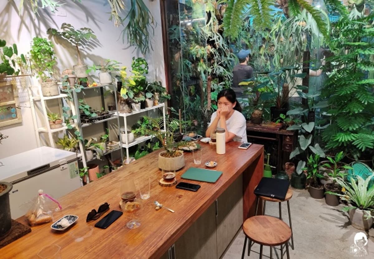 誤闖植物園?台中「森林系咖啡廳」被綠植圍繞超療癒,昭和布丁Q彈帶紅茶香 誤闖植物園?台中「森林系咖啡廳」被綠植圍繞超療癒,昭和布丁Q彈帶紅茶香