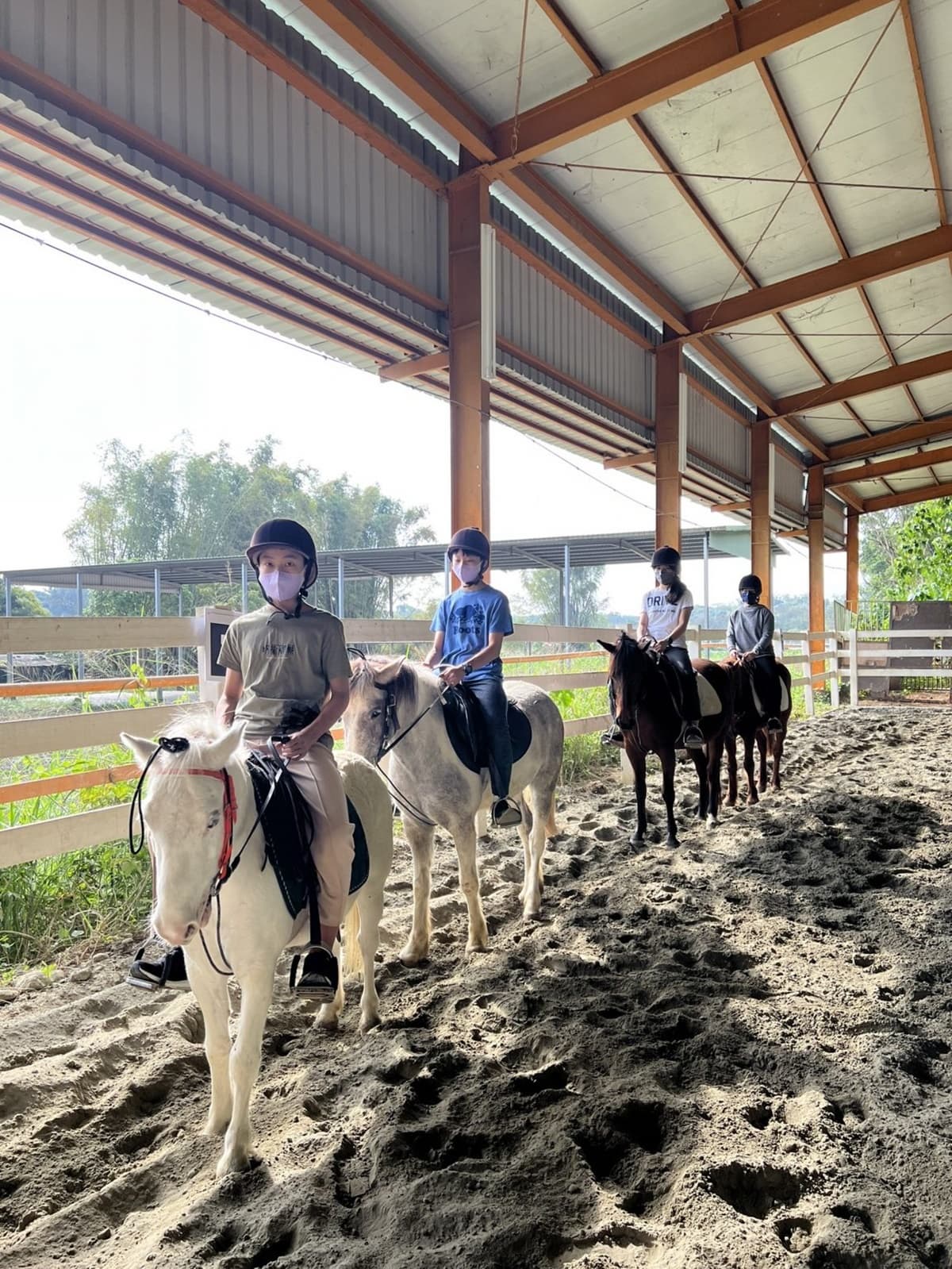 免門票「小型動物園」!近距離餵食迷你馬、羊駝,加碼小朋友最愛騎馬體驗 免門票「小型動物園」!近距離餵食迷你馬、羊駝,加碼小朋友最愛騎馬體驗