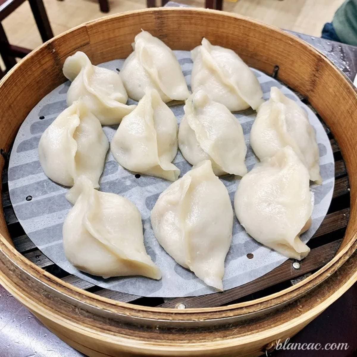 東區好評「隱藏版餃子館」!招牌鮮肉蒸餃內餡飽滿,酥脆韭黃鍋貼也必點 東區好評「隱藏版餃子館」!招牌鮮肉蒸餃內餡飽滿,酥脆韭黃鍋貼也必點