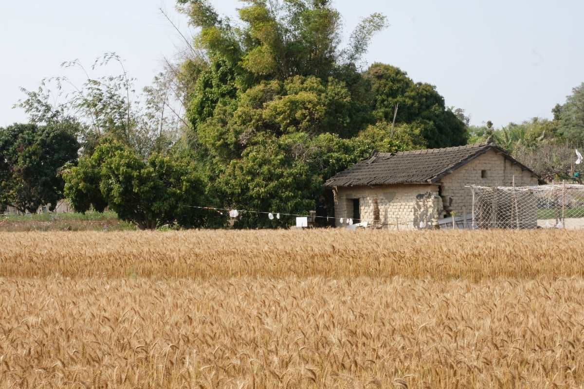台中放電半日遊!玩觀光工廠順遊3免費景點:森林系公園、抹茶湖、黃金麥田(中獎名單已公布) 台中放電半日遊!玩觀光工廠順遊3免費景點:森林系公園、抹茶湖、黃金麥田(中獎名單已公布)