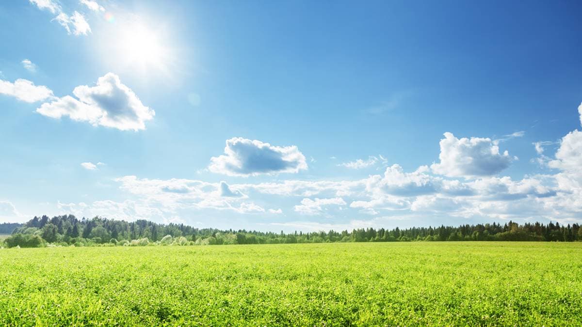 熱到爆!全台飆破高溫36度,1張圖看本週天氣、午後雷陣雨分布