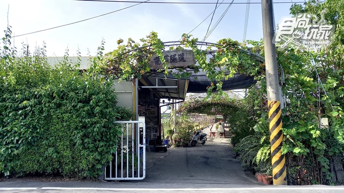 路葡萄隧道休閒農場