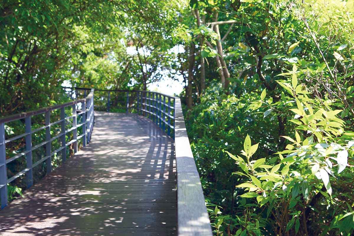 新北親子行程!觀音山1日遊5景點:天空步道、爆米花樂園、長20公尺滑梯 新北親子行程!觀音山1日遊5景點:天空步道、爆米花樂園、長20公尺滑梯