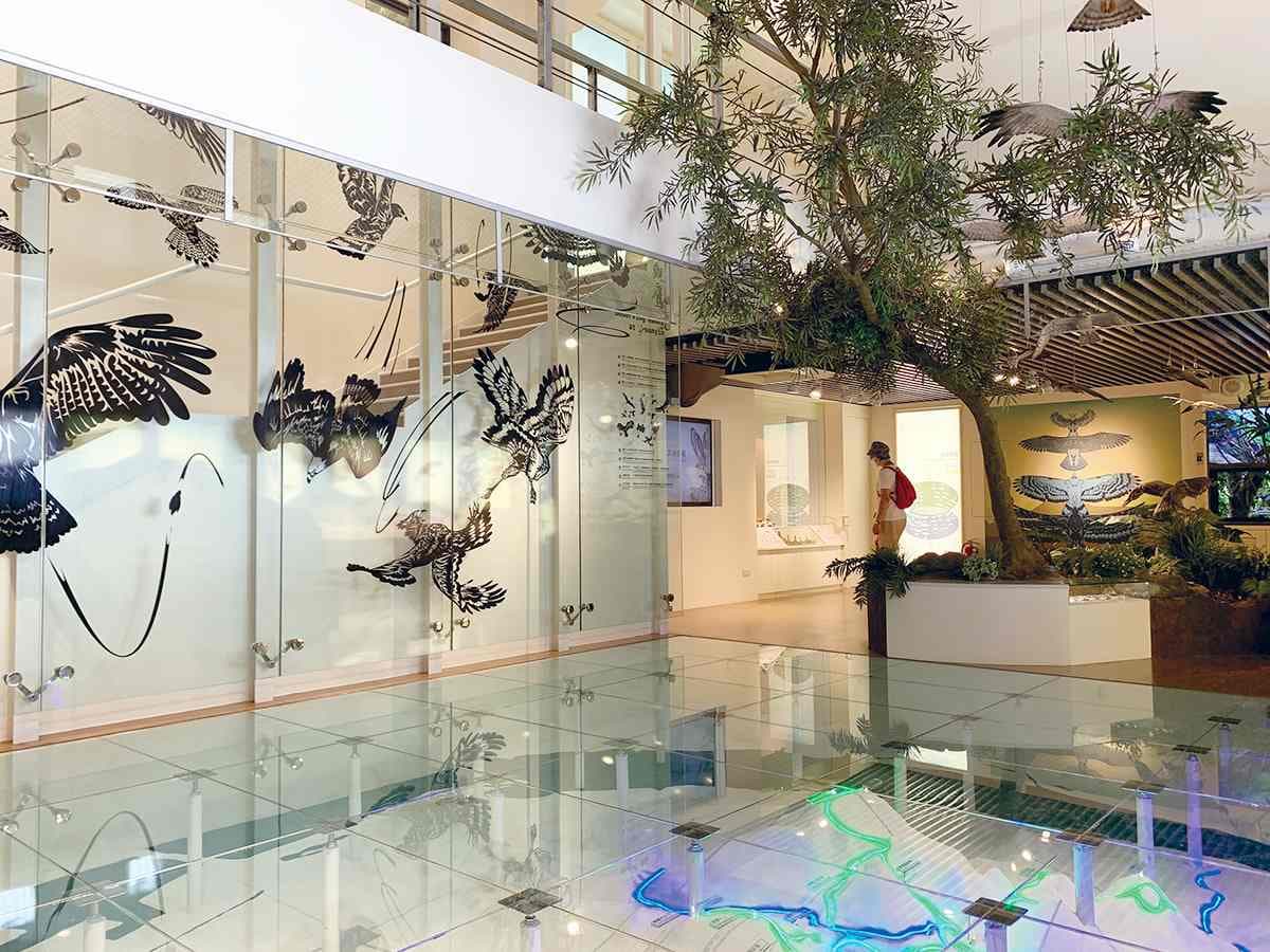 新北親子行程!觀音山1日遊5景點:天空步道、爆米花樂園、長20公尺滑梯 新北親子行程!觀音山1日遊5景點:天空步道、爆米花樂園、長20公尺滑梯