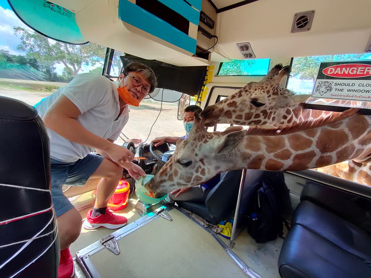 想報名+1!動物園超狂體驗「長頸鹿餵食」,獨享吉普車專屬網美照 想報名+1!動物園超狂體驗「長頸鹿餵食」,獨享吉普車專屬網美照