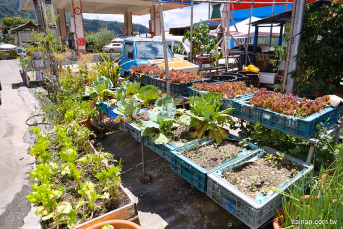 有洋蔥!堅強媽媽「古早味雜貨店」堅守部落,賣雞腿堡、鹹豬肉帶給族人幸福 有洋蔥!堅強媽媽「古早味雜貨店」堅守部落,賣雞腿堡、鹹豬肉帶給族人幸福