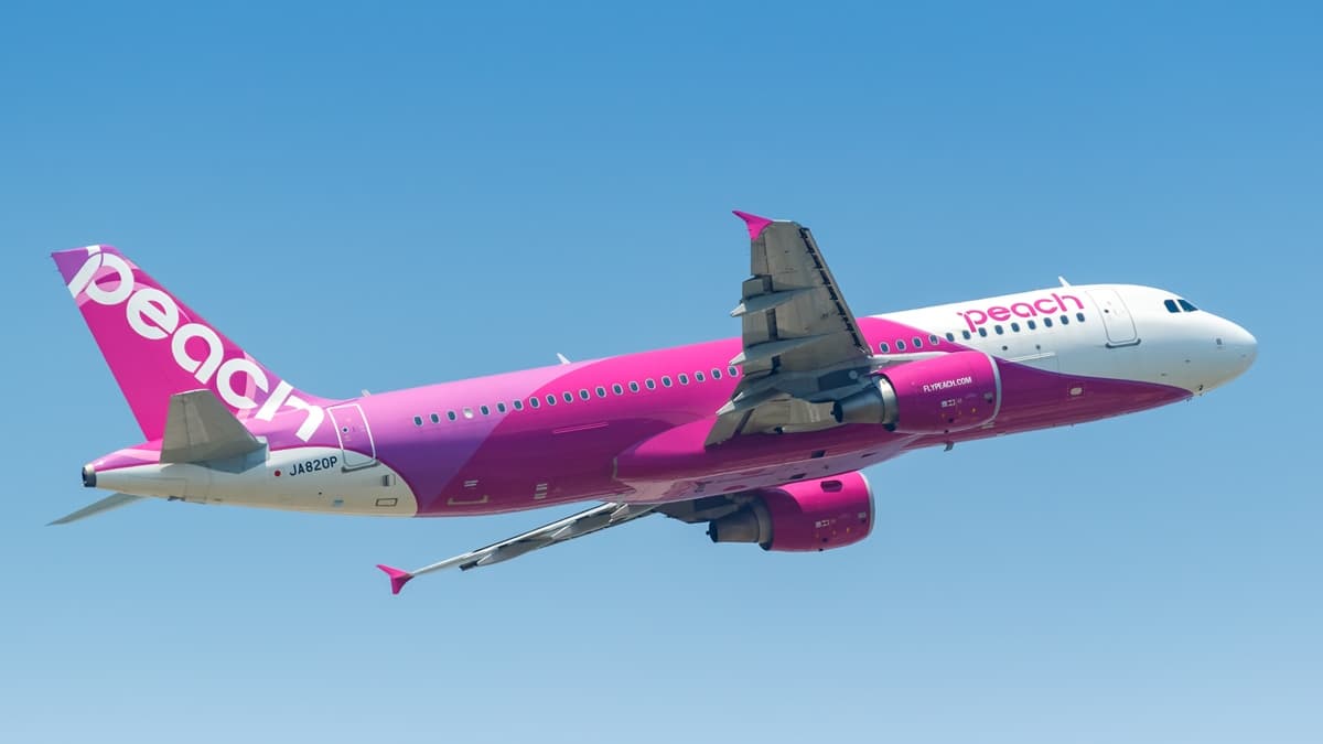 手刀搶票啦!樂桃航空「桃園-羽田」航線11/17起天天飛,單程最低3370元起