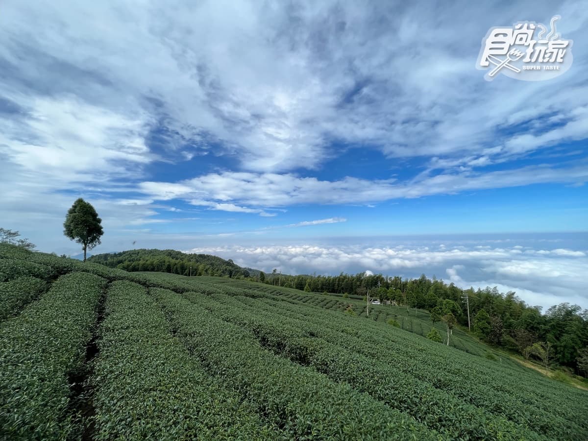 雲海祕境、台版嵐山!16景點玩翻古坑,台灣咖啡節3天2夜最強攻略 雲海祕境、台版嵐山!16景點玩翻古坑,台灣咖啡節3天2夜最強攻略