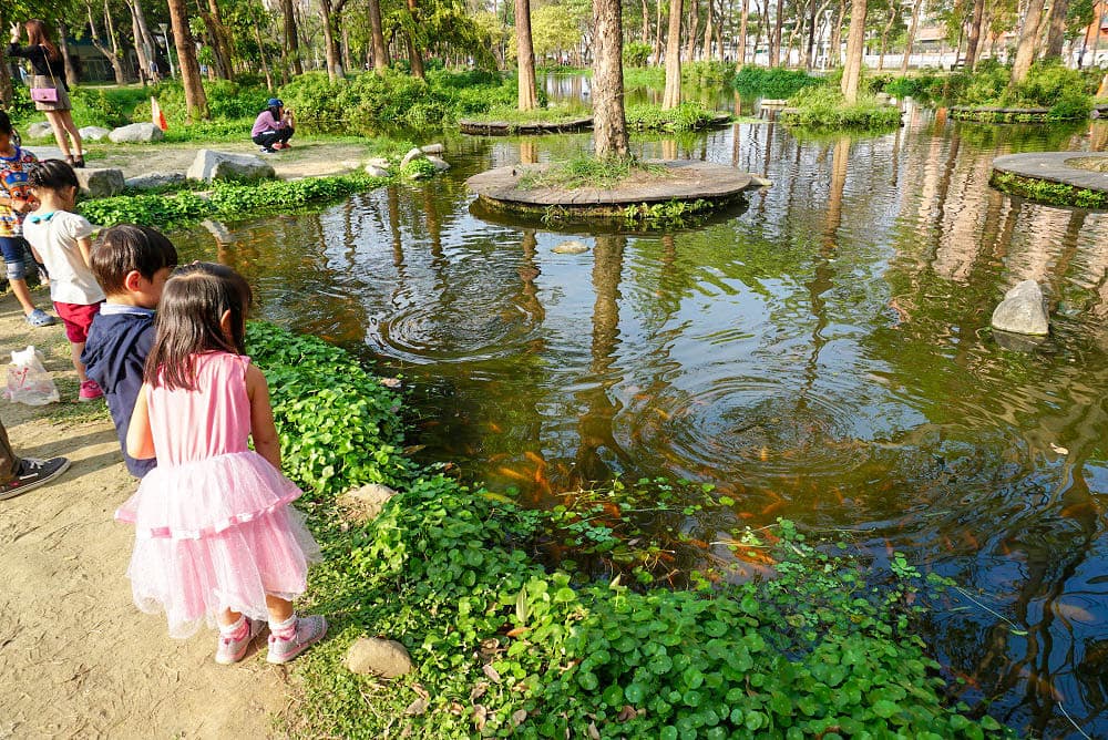 高雄最美公園!鳳山版「忘憂森林」出捷運就到,9公頃「綠色仙境」IG必打卡 高雄最美公園!鳳山版「忘憂森林」出捷運就到,9公頃「綠色仙境」IG必打卡