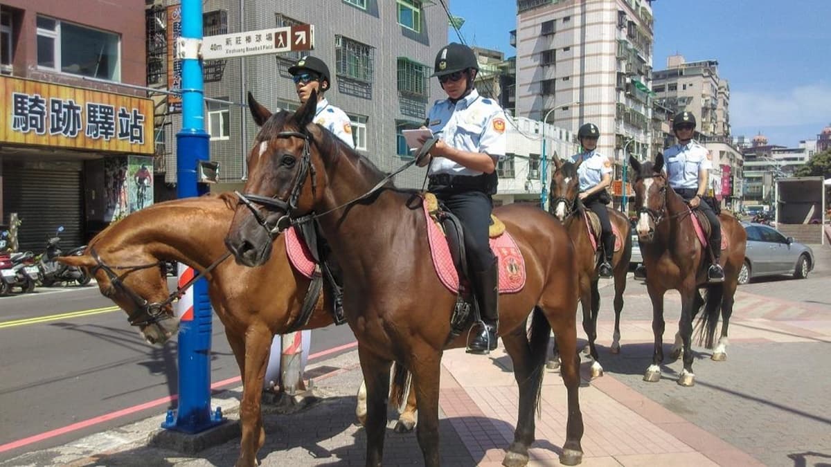 市區驚見警察騎馬巡邏!神人揭真實任務,網友:彷彿置身歐洲街道 市區驚見警察騎馬巡邏!神人揭真實任務,網友:彷彿置身歐洲街道