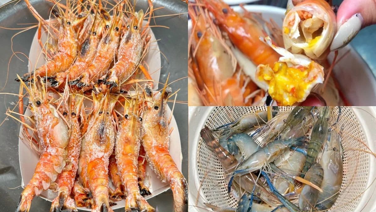 蝦控吃起來!台南現撈「活蝦料理」免剝蝦殼爽嗑,滿滿蝦膏+蝦肉痛風爆表