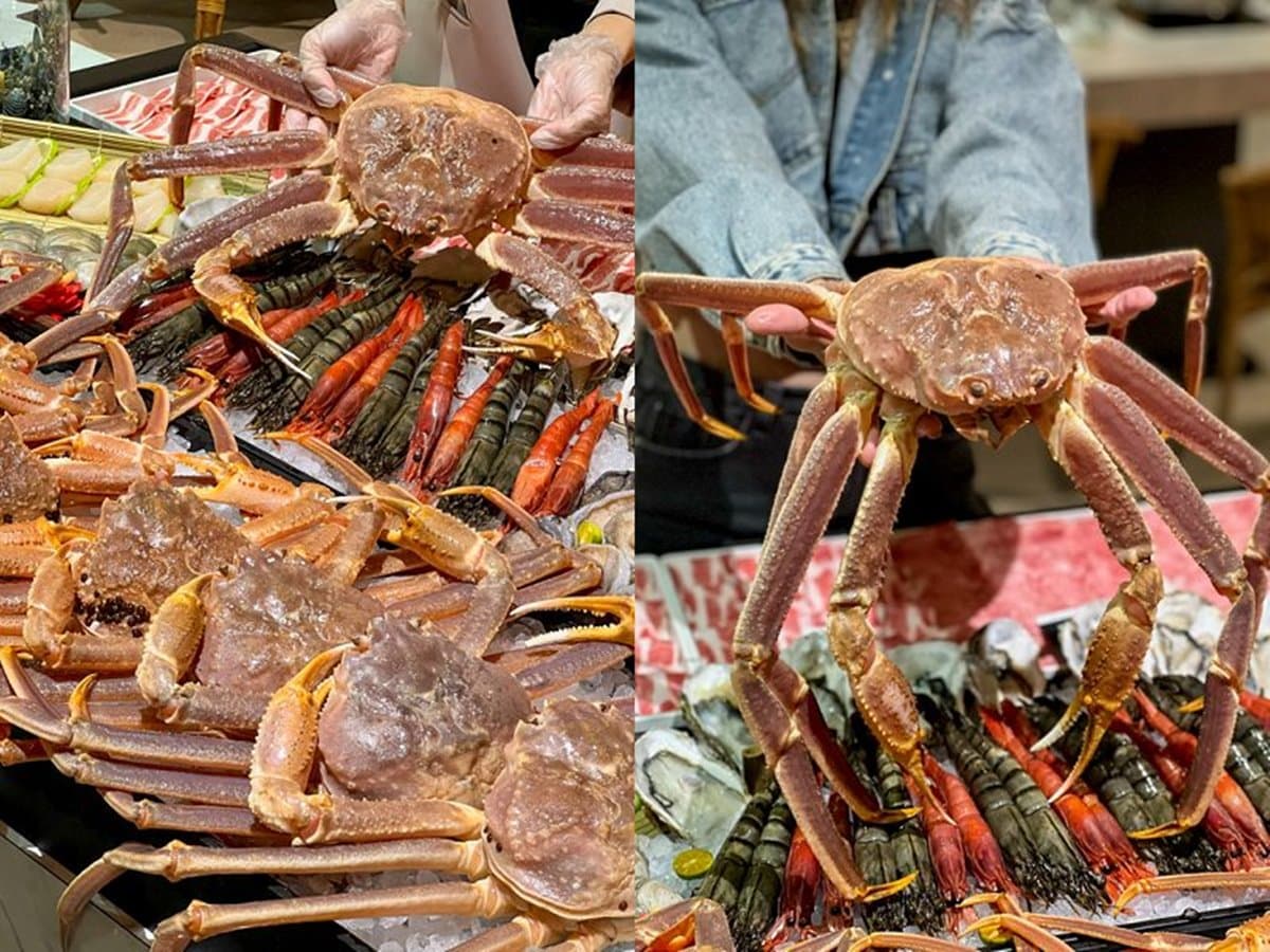 全台最狂尾牙餐廳!10隻「活體松葉蟹」霸氣上桌,爽嗑海鮮+和牛火鍋快搶訂 全台最狂尾牙餐廳!10隻「活體松葉蟹」霸氣上桌,爽嗑海鮮+和牛火鍋快搶訂