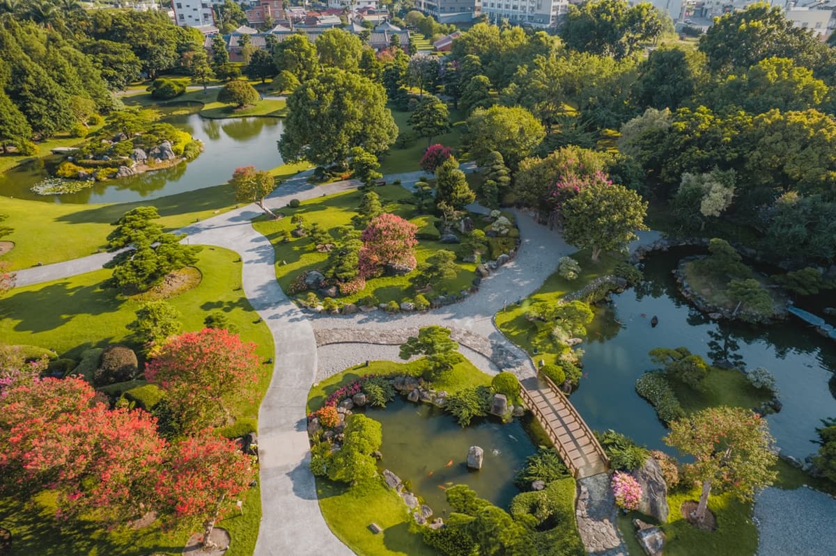 與大佛合照「入園半價」!彰化落羽松大道春節正美,「台版兼六園」超好拍 與大佛合照「入園半價」!彰化落羽松大道春節正美,「台版兼六園」超好拍
