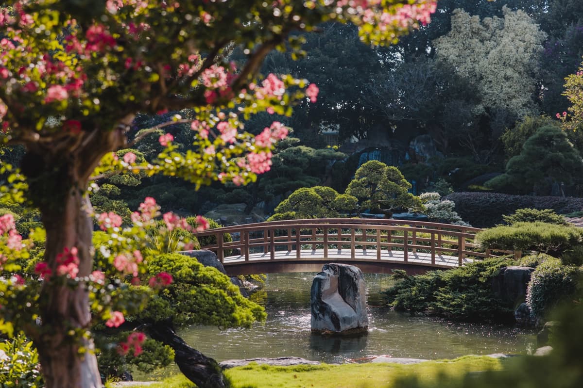 與大佛合照「入園半價」!彰化落羽松大道春節正美,「台版兼六園」超好拍 與大佛合照「入園半價」!彰化落羽松大道春節正美,「台版兼六園」超好拍