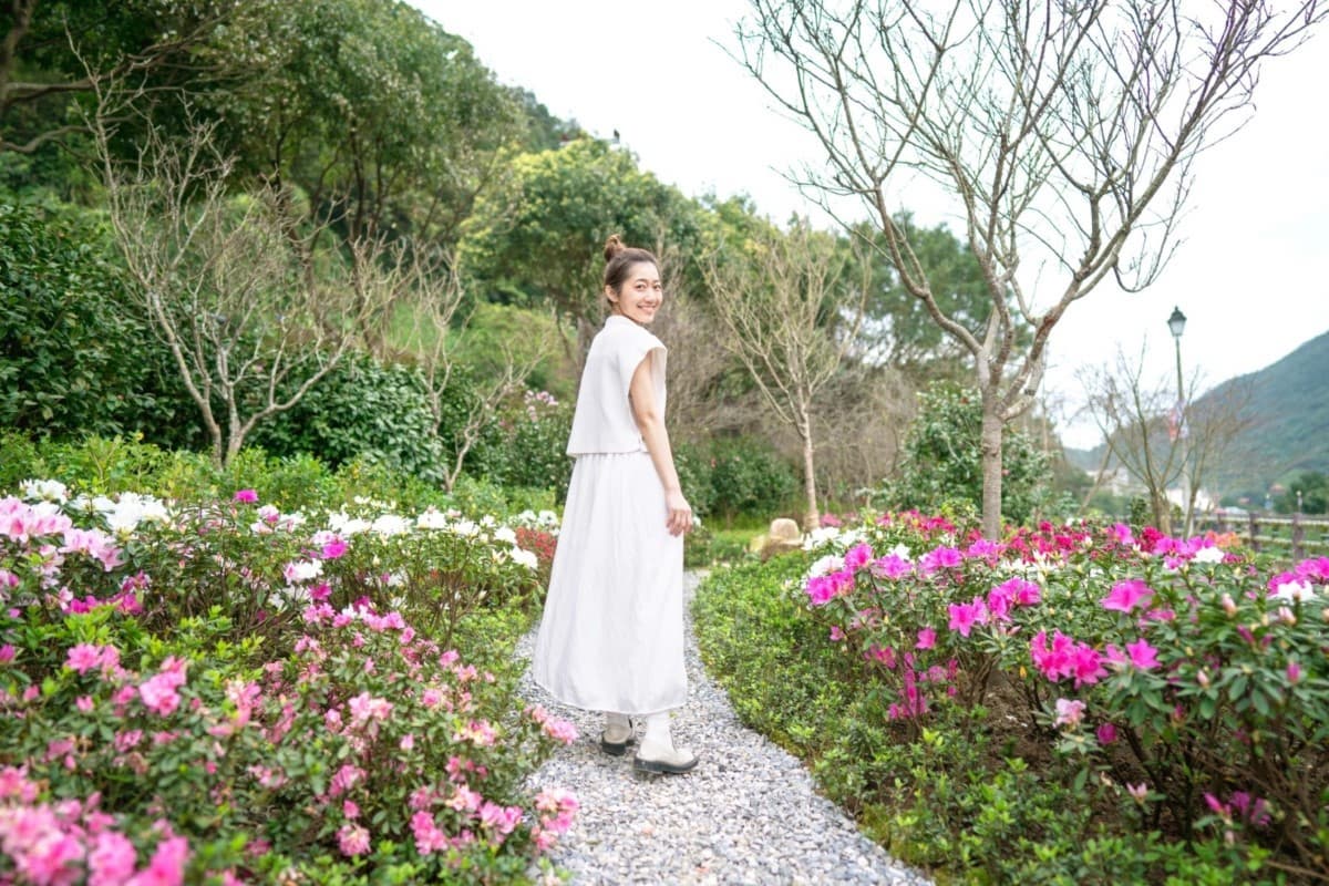 2023萬金杜鵑花聚落,2/25開展,花展好康及交通資訊報你知 2023萬金杜鵑花聚落,2/25開展,花展好康及交通資訊報你知