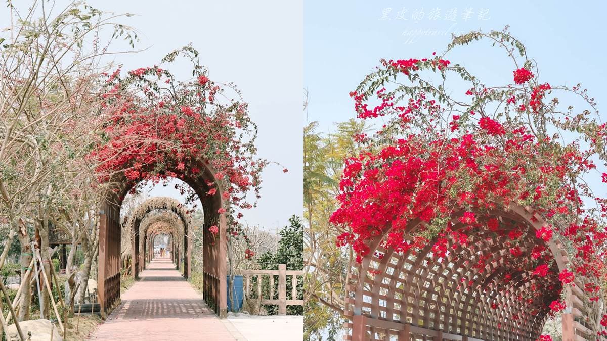 錯過等明年!爆發系「苦楝花祕境」藏在這,雪白花海+鳥巢樹屋美到狂洗版IG 錯過等明年!爆發系「苦楝花祕境」藏在這,雪白花海+鳥巢樹屋美到狂洗版IG