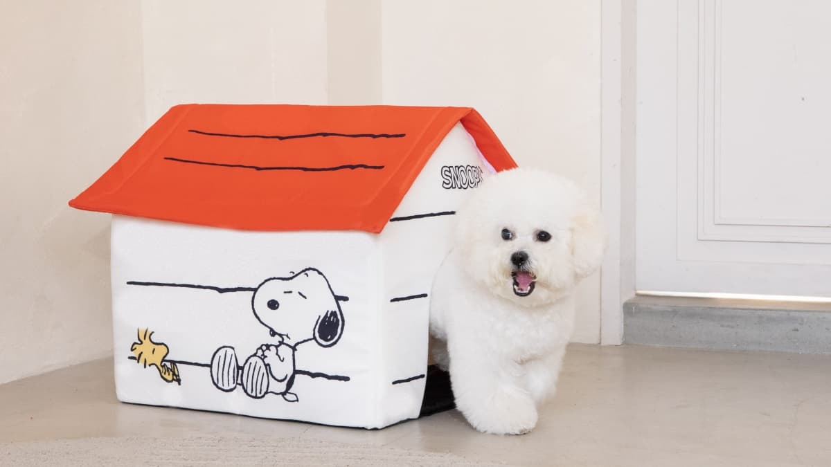 8元就能加購!康是美「SNOOPY」20款商品,先搶萌翻拍拍燈、雙層行李箱 8元就能加購!康是美「SNOOPY」20款商品,先搶萌翻拍拍燈、雙層行李箱