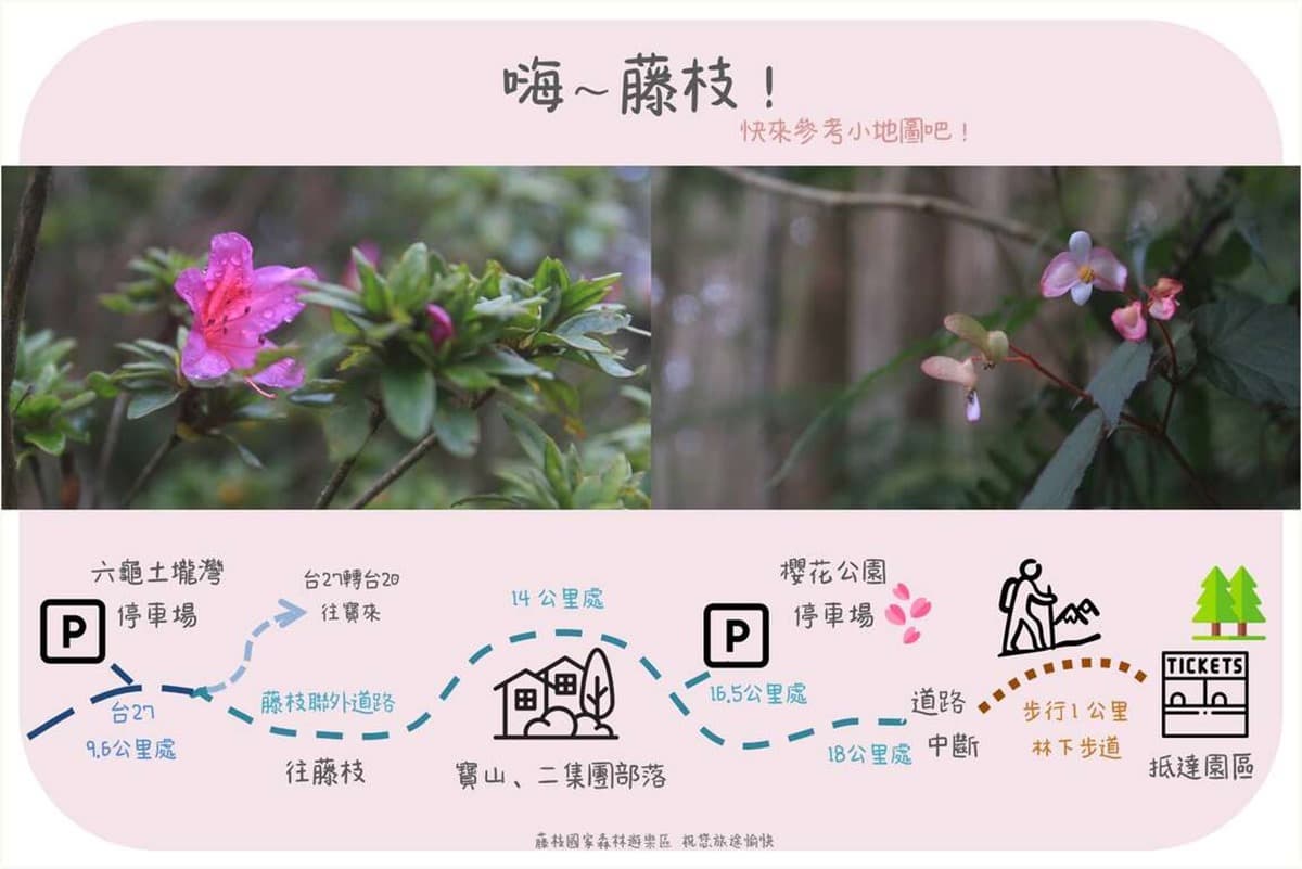 120元逛整天!「南部小溪頭」4/21起免預約入園,票價、路線、交通資訊一次看 120元逛整天!「南部小溪頭」4/21起免預約入園,票價、路線、交通資訊一次看