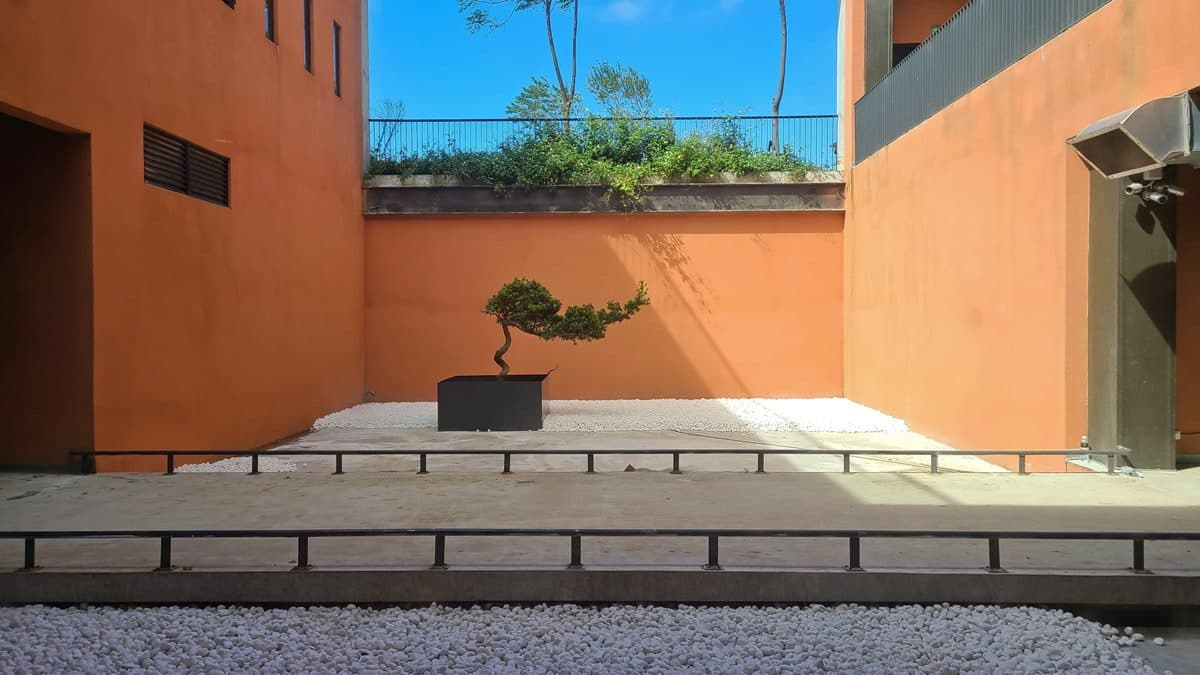 「室內極光」這裡拍!全台唯一茶園地景主題園區,再逛燈籠隧道文創一條街 「室內極光」這裡拍!全台唯一茶園地景主題園區,再逛燈籠隧道文創一條街