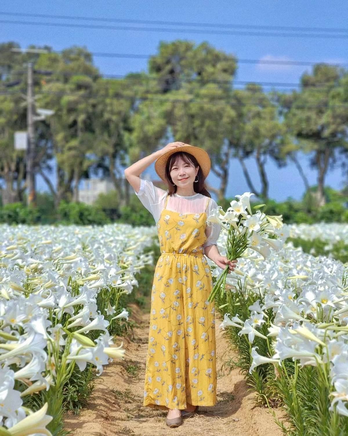 50元拍到飽!衝桃園搶拍2萬株「鐵砲百合花」,錯過等明年、母親節快來賞花 50元拍到飽!衝桃園搶拍2萬株「鐵砲百合花」,錯過等明年、母親節快來賞花