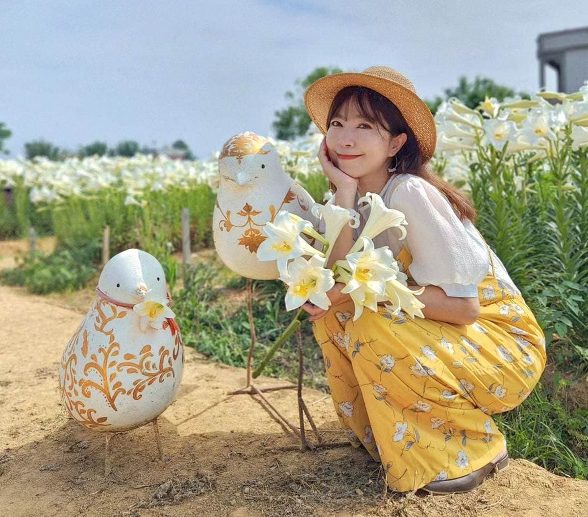 50元拍到飽!衝桃園搶拍2萬株「鐵砲百合花」,錯過等明年、母親節快來賞花 50元拍到飽!衝桃園搶拍2萬株「鐵砲百合花」,錯過等明年、母親節快來賞花