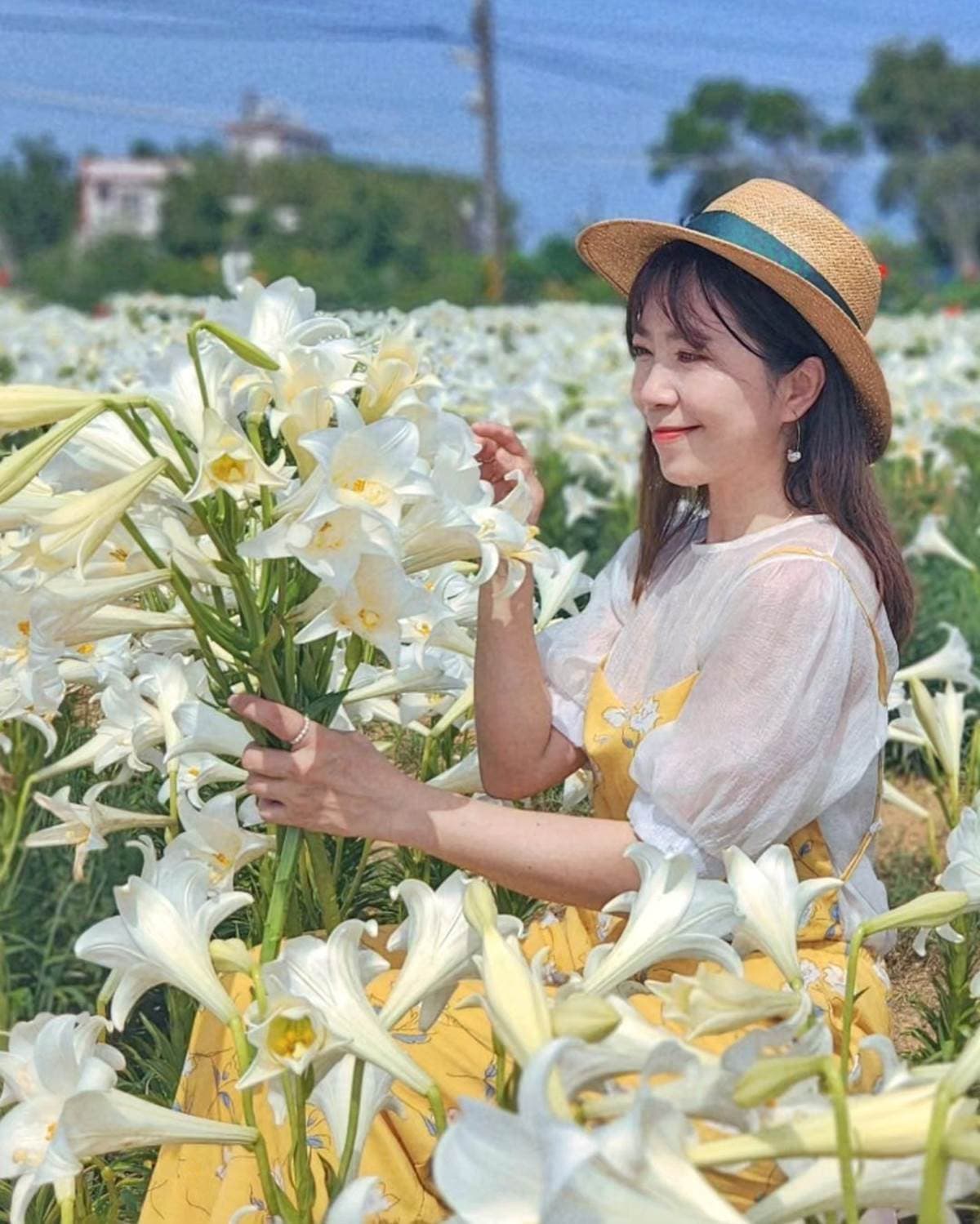 50元拍到飽!衝桃園搶拍2萬株「鐵砲百合花」,錯過等明年、母親節快來賞花 50元拍到飽!衝桃園搶拍2萬株「鐵砲百合花」,錯過等明年、母親節快來賞花