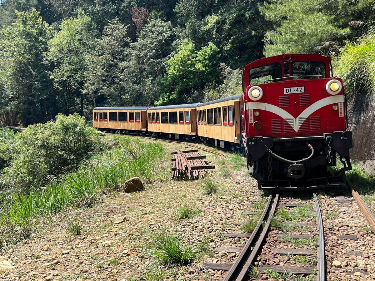 購票追「福森號」阿里山最美車廂!「這4天」試車時間曝光,最快7月起上路 購票追「福森號」阿里山最美車廂!「這4天」試車時間曝光,最快7月起上路