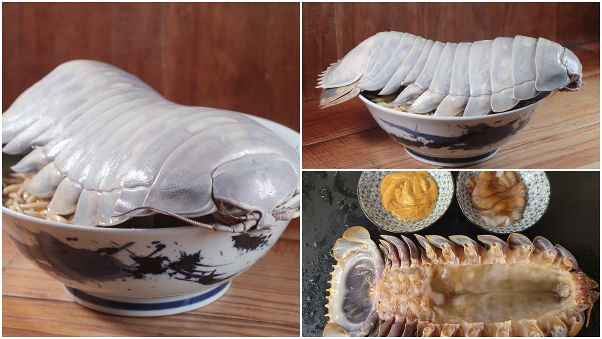 整隻「大王具足蟲」端上桌!超狂拉麵1碗1480元,網友驚:吃巨無霸海蟑螂?