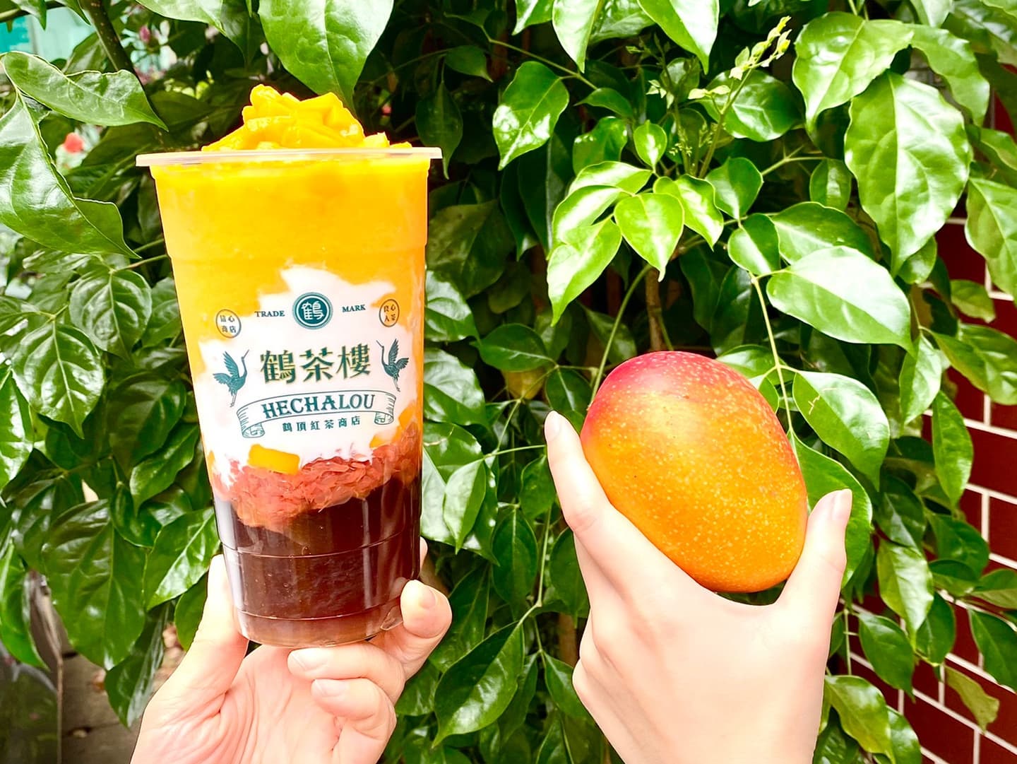 鶴茶樓首創「凍飲版」楊枝甘露!芒果凍+椰奶凍第2杯半價、指定飲買一送一 鶴茶樓首創「凍飲版」楊枝甘露!芒果凍+椰奶凍第2杯半價、指定飲買一送一
