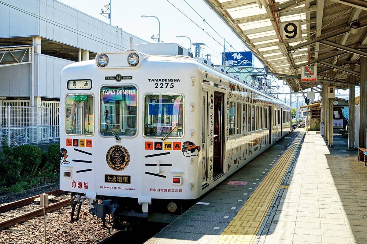 日本「最強貓站長」!一代上任1年吸金日幣11億,快搭「小玉電車」訪繼承人 日本「最強貓站長」!一代上任1年吸金日幣11億,快搭「小玉電車」訪繼承人