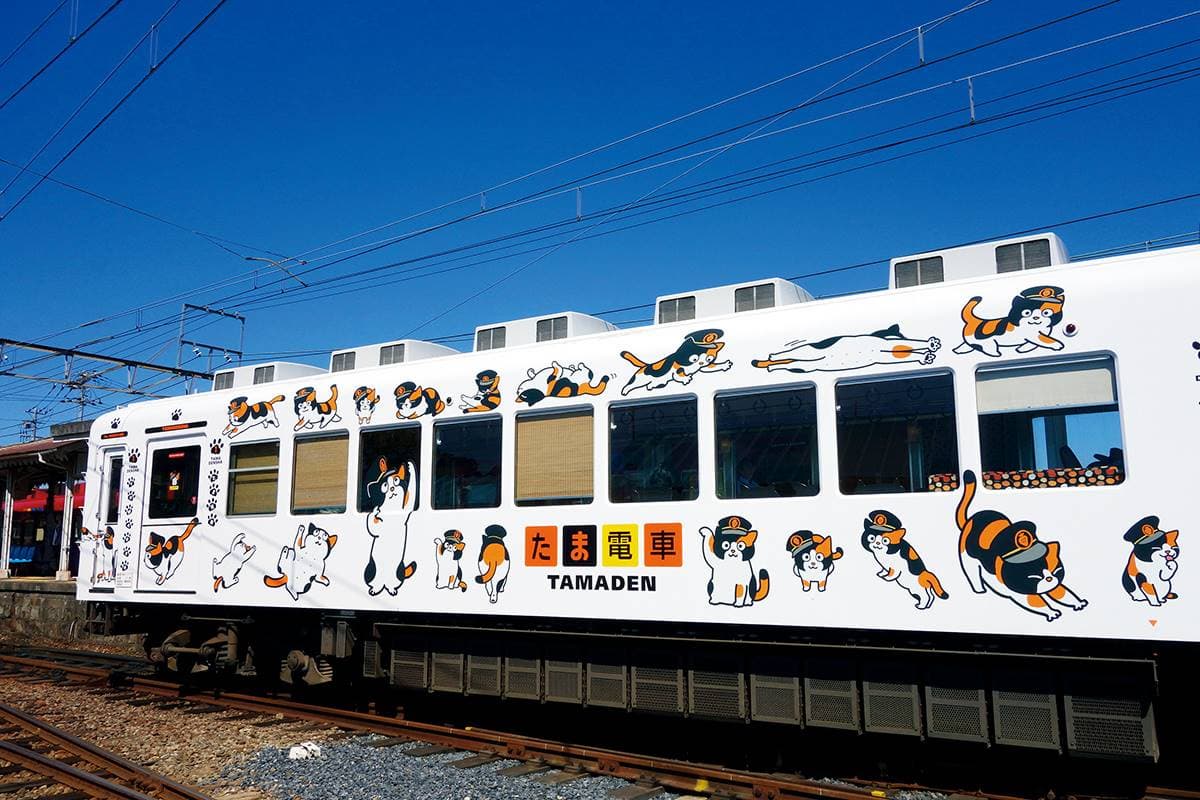 日本「最強貓站長」!一代上任1年吸金日幣11億,快搭「小玉電車」訪繼承人 日本「最強貓站長」!一代上任1年吸金日幣11億,快搭「小玉電車」訪繼承人